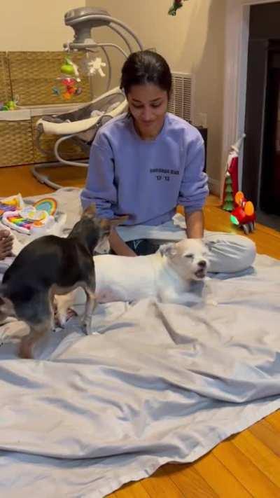 The Perfect Audio Does Exist