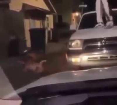 bonk (sorry if reposted)