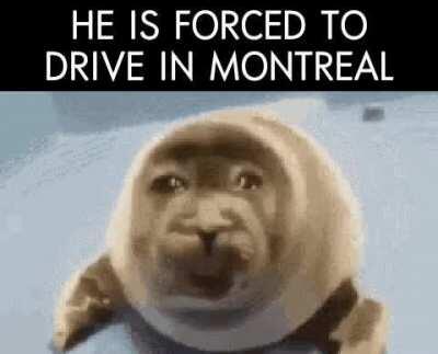 Ostie de calice de marde pareil