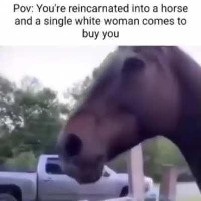 Reincarnation is the way