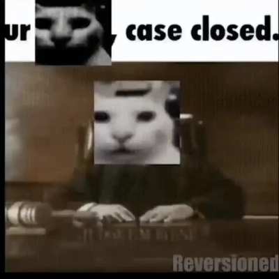 Vjgljfykdykskgdlhclhf