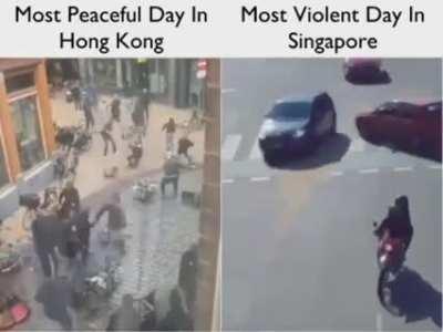 Donkey kong🇹🇳🇹🇳🇹🇳🇹🇳🤮🤮🤮🤮 sink a poor 🇲🇨🇲🇨🇲🇨🇲🇨😎😎😎😎