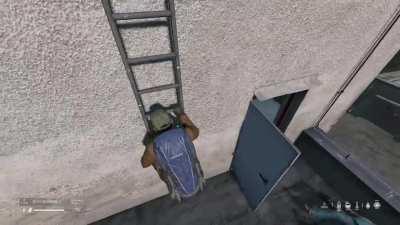 The infected have mastered flight.