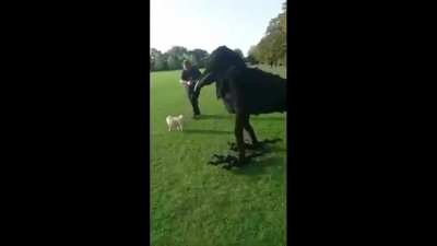 A terrifying presence has entered the room