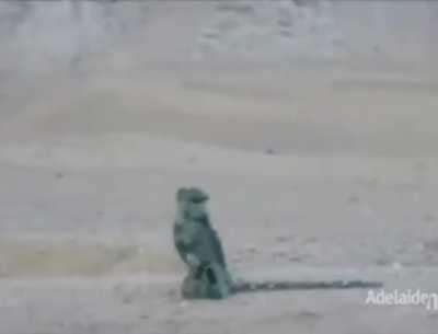 Guy dancing in an EOD suit after defusing training bomb