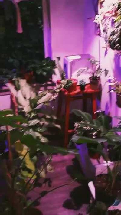 What 7 hours of sunlight looks like during the Winter months 😅