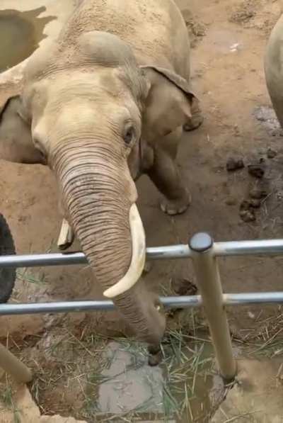 Do you have something edible?