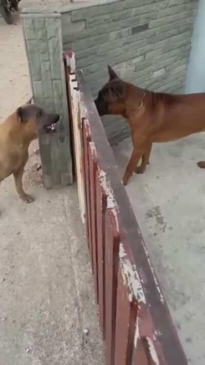 Don't Hate The Player, Hate The Game