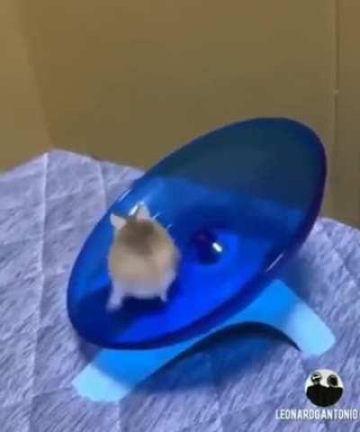 High intensity training