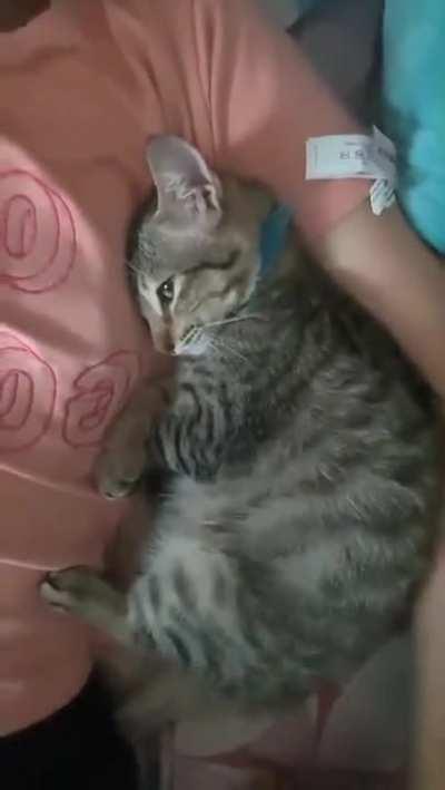 Just the usual sleeping position