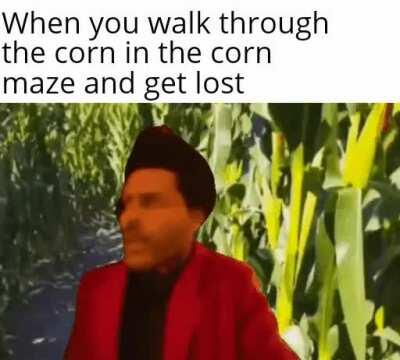 I'm about to do whats called a pro game move