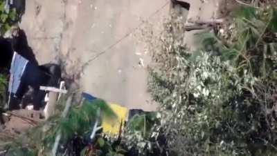 Индийские снайперы проводят ликвидацию террористов в Кашмире.