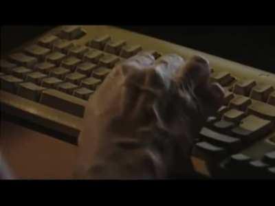 Discord polska moment