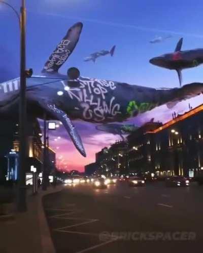 Happy International Whale Day