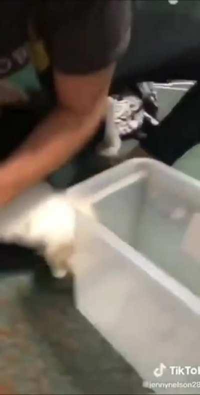 Have to teach em a lesson