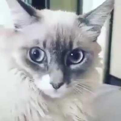 Did you know? Boobs don't just look nice. They're useful too!