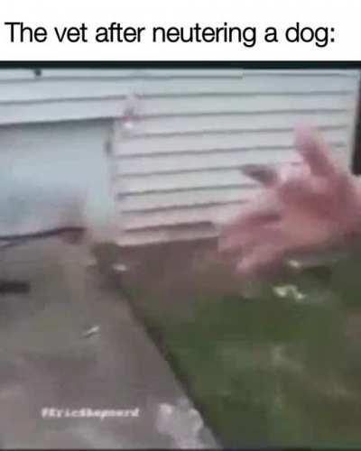 Where are my balls Summer?