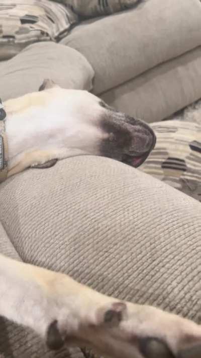 I’m getting on his nerves 😬