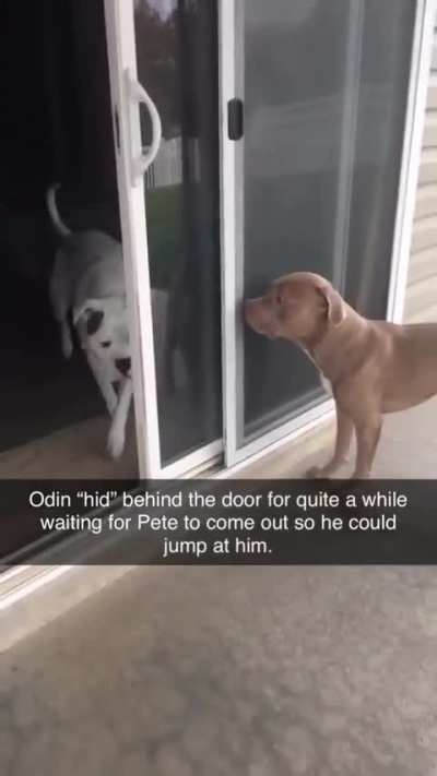 Dude you know I can see you right?😂