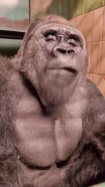 Tasting a bell pepper