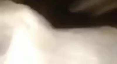 El Chat cuando orson prende Stream