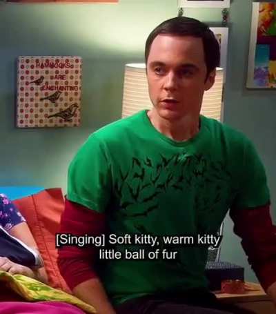 Penny was Sheldon's Missy after Missy