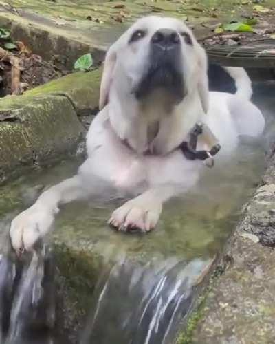 Not a single care was given