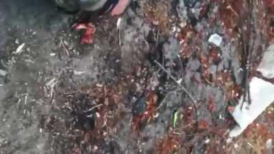 Another castration video has surfaced of a different Ukrainian soldier who is executed afterwards