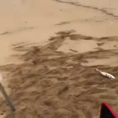 When someone steals your lunch.