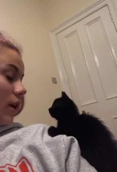 Kitty cat won't stop looking at new owner after being saved