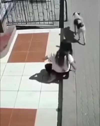 Not today hooman, it's my day.