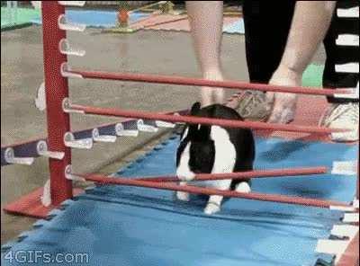 Can tell by the arm drop