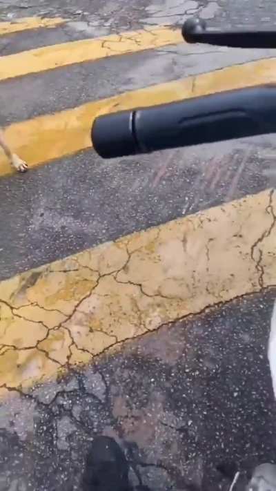 A vingança contra os caramelos!