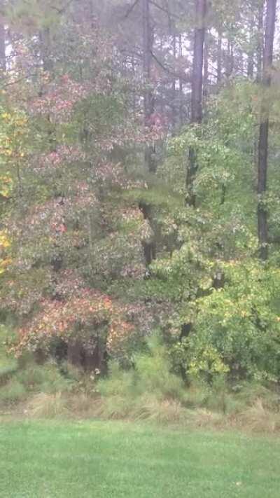 Remnants of Hurricane Zeta passing over the East Coast