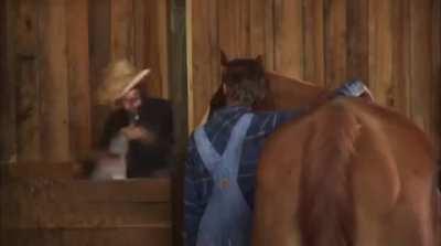 This is why you should always have a good Stego on hand.