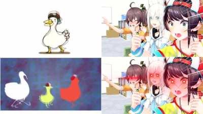 Birds Stronger Together