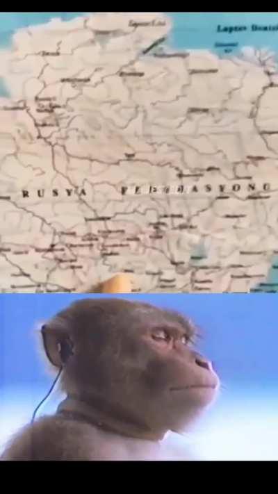 When you reset the settings of a Turk