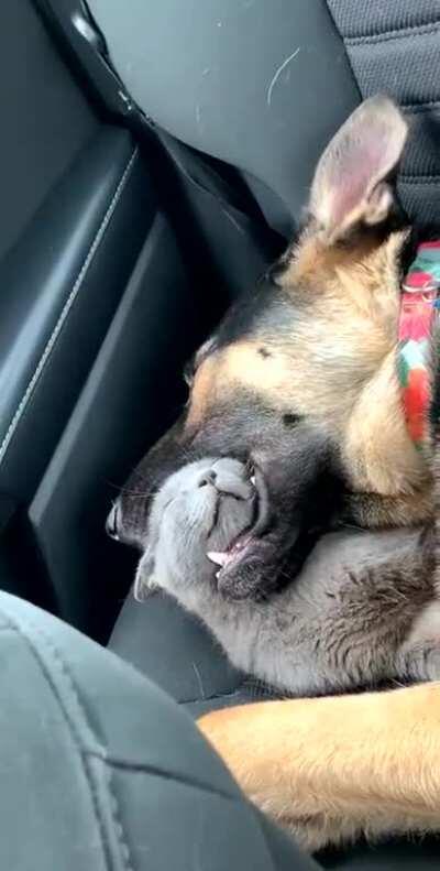 It’s a love/hate relationship