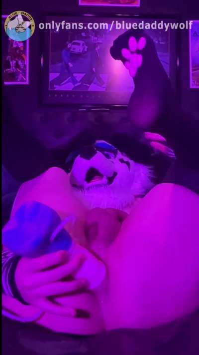 Puppy loves getting his massive equine creampies daily 🐴  💦