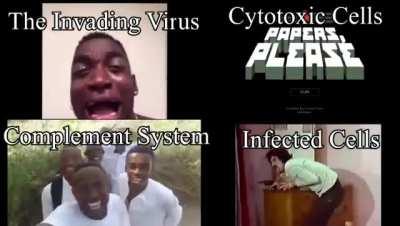 Thoughts and Prayers for our Little 'Friends'