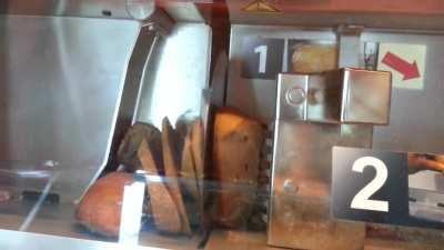 Anweisungen befolgen ist optional