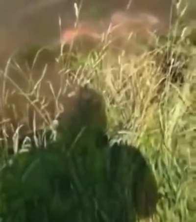 Test of first Russian torpedo, around 1916, colorized