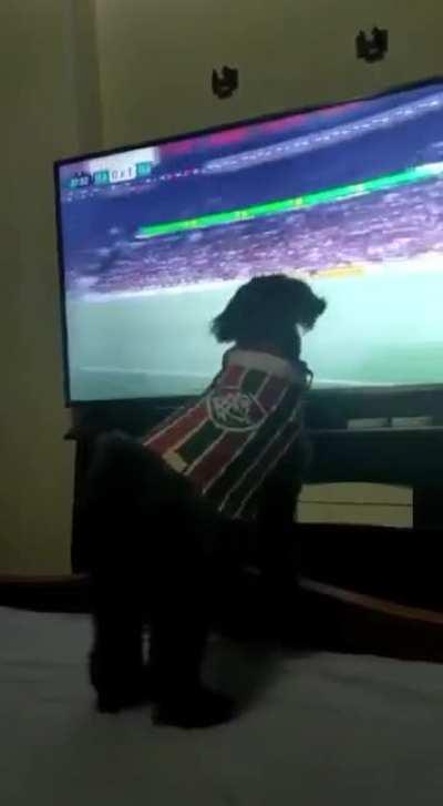 Pretinha tricolor <3