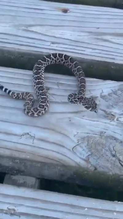 It started out good.