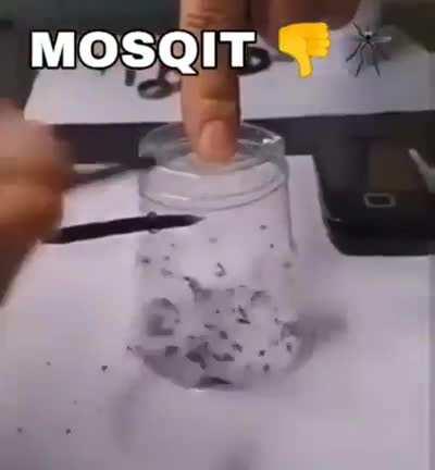 MOSQIT 👎