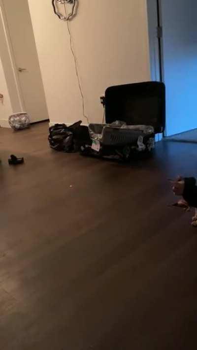 Just got this sweet lady. Any helpful tips on owning this breed?