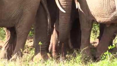 Keeping the baby safe.