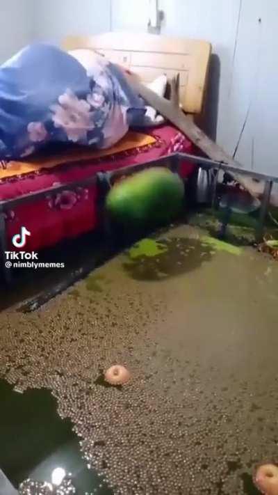 Goofy ahh Bedroom☠️☠️