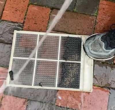 Wait, the Dehumidifier has a filter!?! Ten years of $#%&