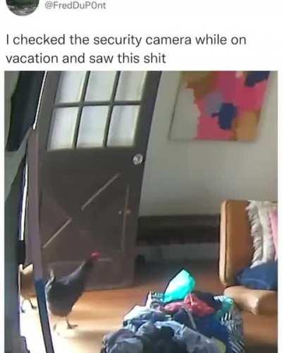 We are on vacation too